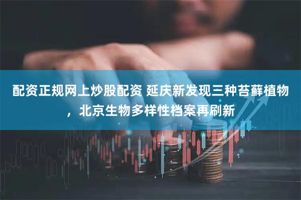 配资正规网上炒股配资 延庆新发现三种苔藓植物，北京生物多样性档案再刷新