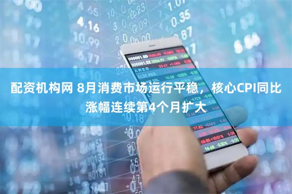 配资机构网 8月消费市场运行平稳，核心CPI同比涨幅连续第4个月扩大