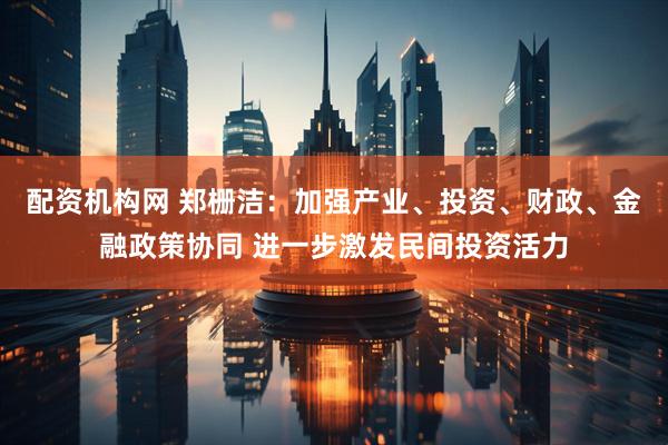 配资机构网 郑栅洁：加强产业、投资、财政、金融政策协同 进一步激发民间投资活力